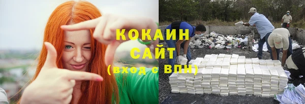 гашик Карталы