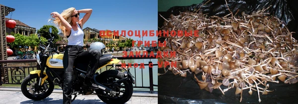 прущая мука Карпинск
