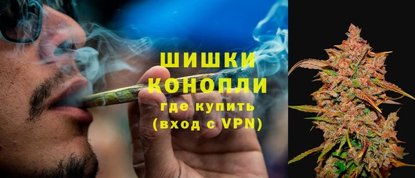 прущая мука Карпинск
