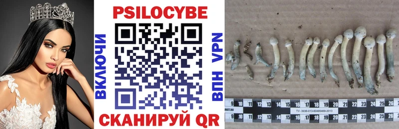Галлюциногенные грибы мухоморы  Купить где  Гаврилов-Ям 
