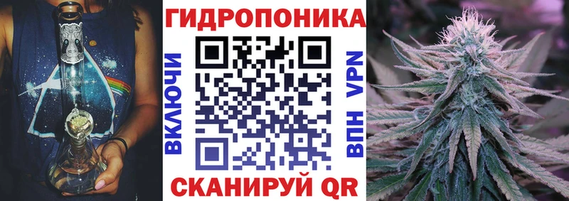 Купить закладки  Гаврилов-Ям  Шишки марихуана семена 